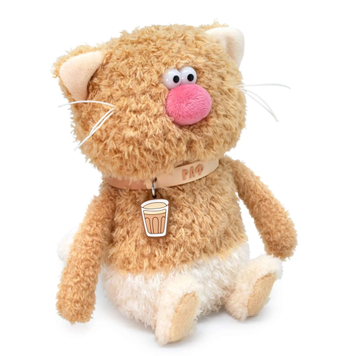 Раф 16 фото 5