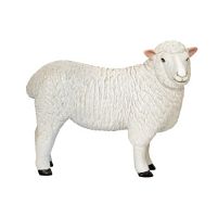 Овца ромни
