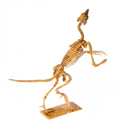 Исторические раскопки Науки с Буки, BONDIBON, "Динозавры" Археоптерикс фото 8