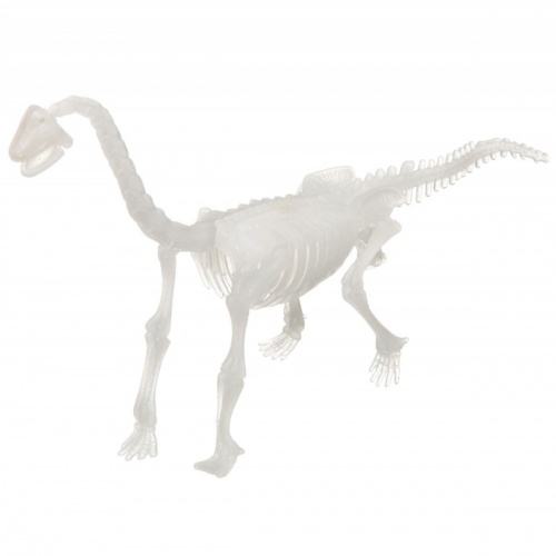 Исторические раскопки Науки с Буки BONDIBON Брахиозавр (светящийся в темноте) фото 5