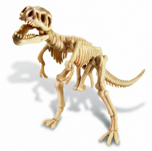 Набор 4M 00-03221 Раскопай скелет. Тираннозавр фото 6