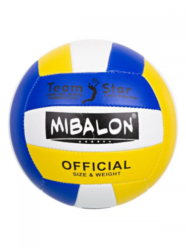 Мяч волейбольный 4 цвета в ассорт. двухслойный в/п d-21 см арт.IT108308 фото 2