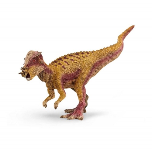 Пахицефалозавр фото 2