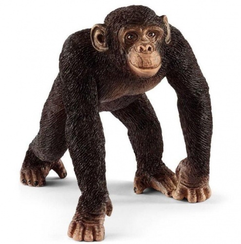 Фигурка Schleich Шимпанзе, самец фото 2