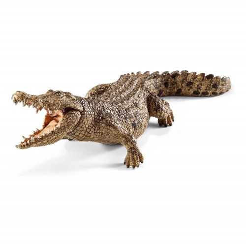 Крокодил фото 3