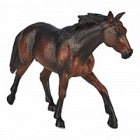 Лошадь Квотерхорс, темно-гнедая