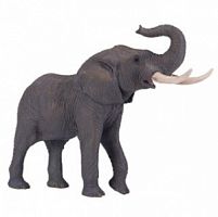 Африканский слон, самец, AMW2003