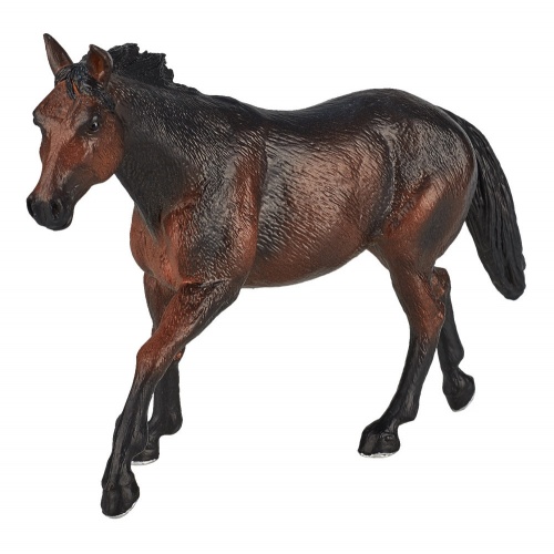 Лошадь Квотерхорс, темно-гнедая фото 5