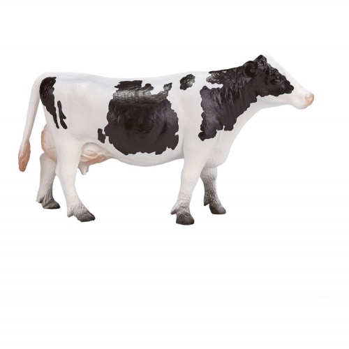 Голштинская корова фото 2