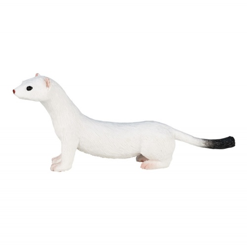 Горностай, белый фото 5