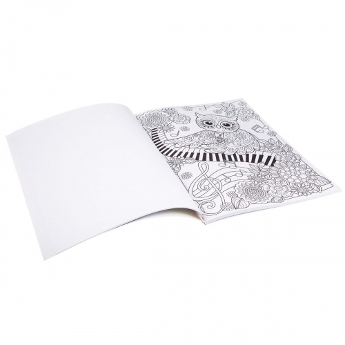 Книга раскрасок антистресс BONDIBON, Мистические совы, 24 дизайна, размер 28,5x21 см, арт. CPA3203V фото 3