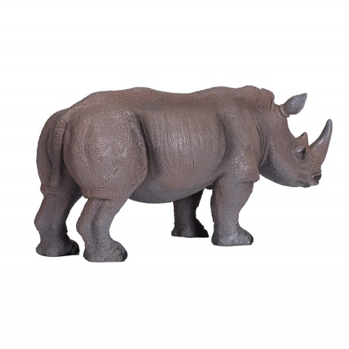 Белый носорог фото 3