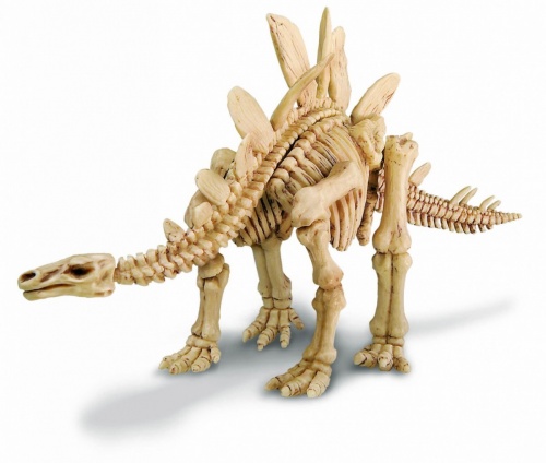 Набор 4M 00-03229 Раскопай скелет. Стегозавр фото 6